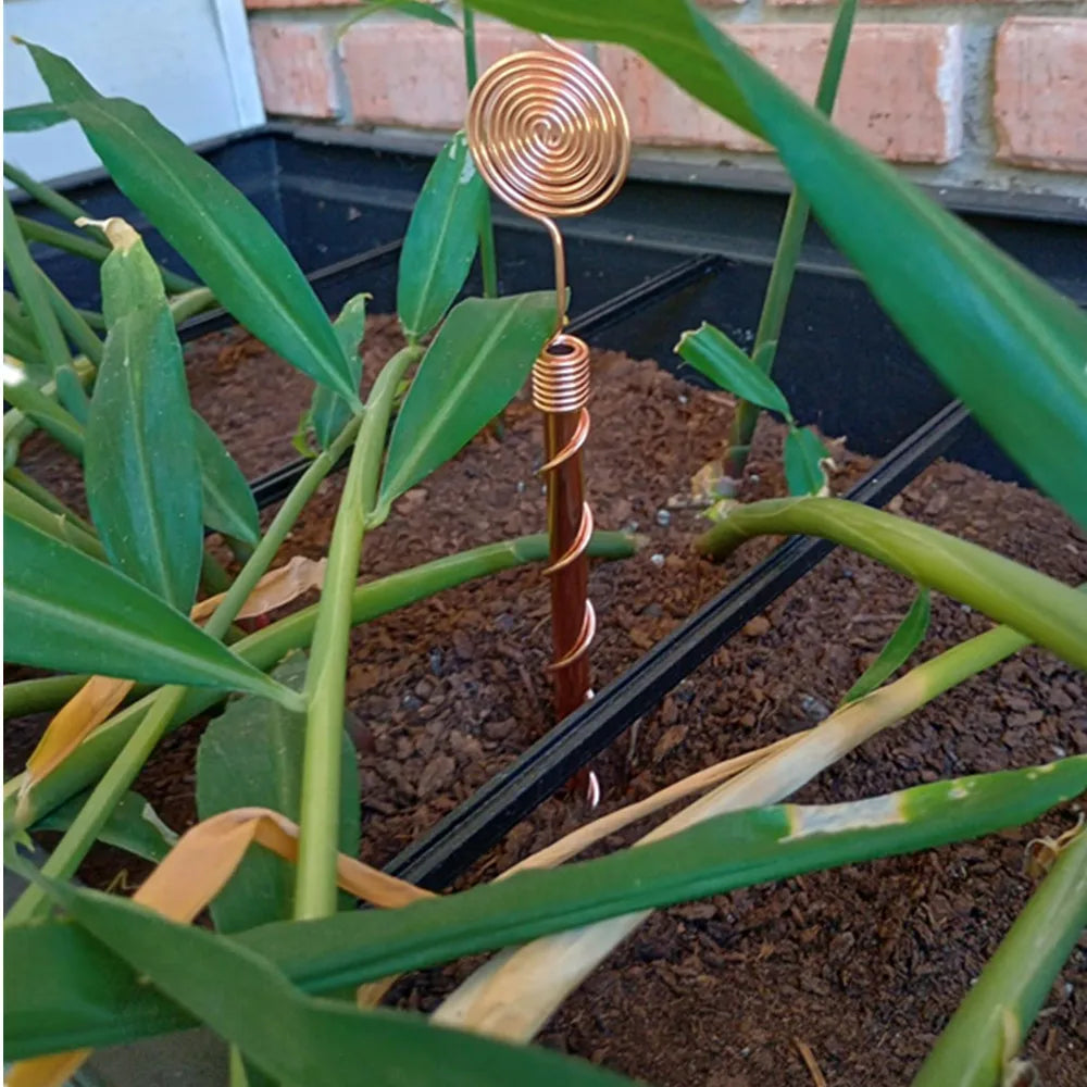 Electroculture Copper Plant Stakes